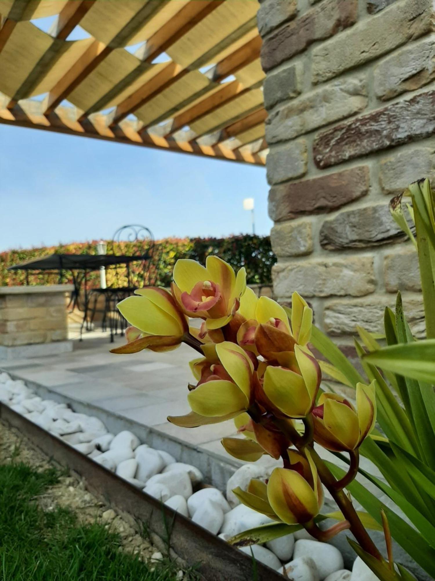 B&B Casalfarano Купра-Мариттима Экстерьер фото
